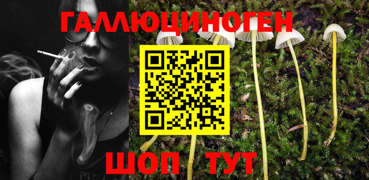 Галлюциногенные грибы Cubensis Серов