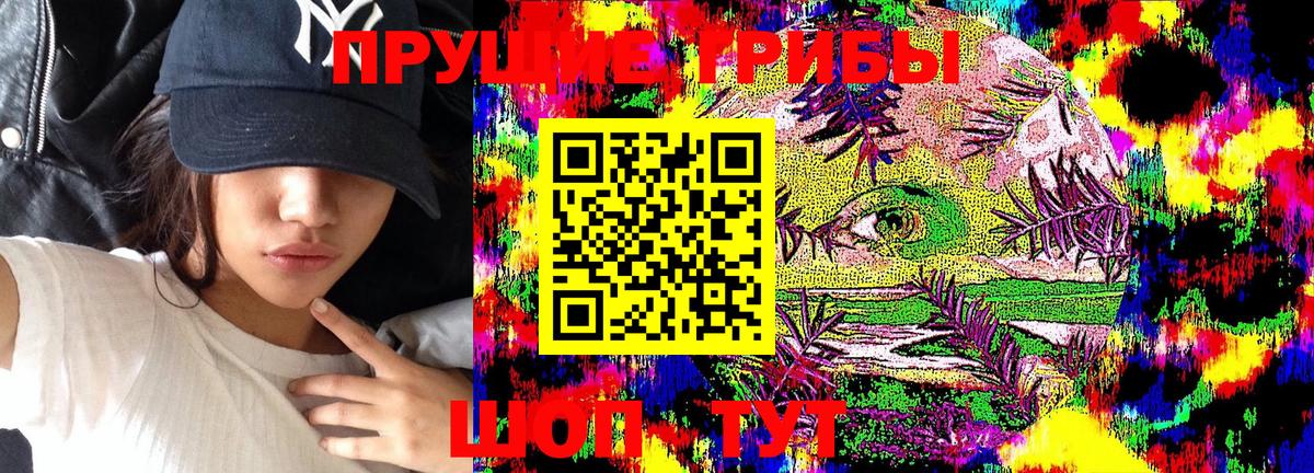 Псилоцибиновые грибы мухоморы  Вход с VPN  Псилоцибиновые грибы Psilocybe  Серов 